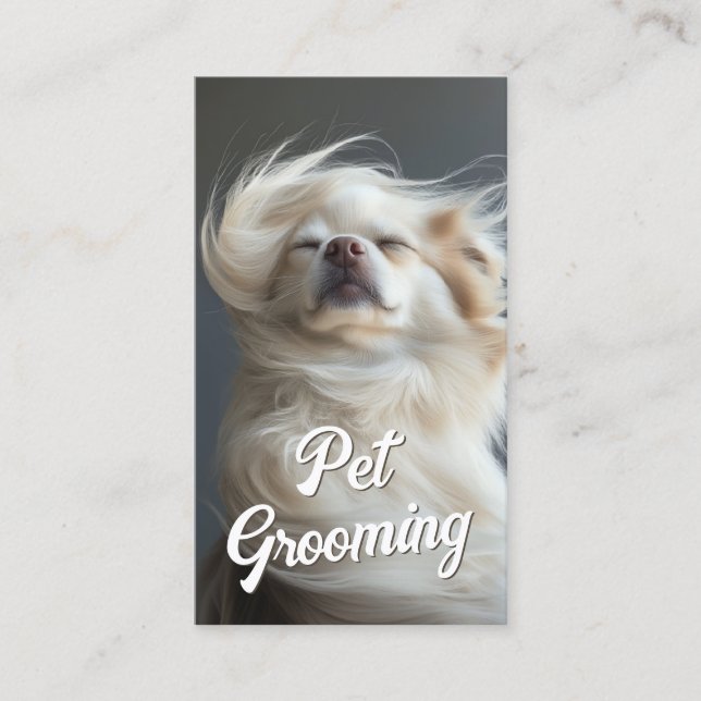 Pet Grooming Salon Boutique Chihuahua Portrait Visitenkarte (Vorderseite)