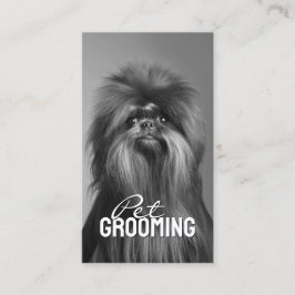 Pet Grooming Salon Care Affenpinscher Portrait Visitenkarte
