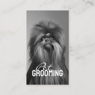 Pet Grooming Salon Care Affenpinscher Portrait Visitenkarte