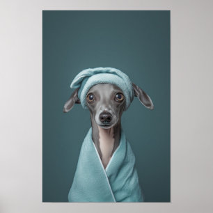 Pet Grooming Salon Italienisches Greyhound Portrai Poster