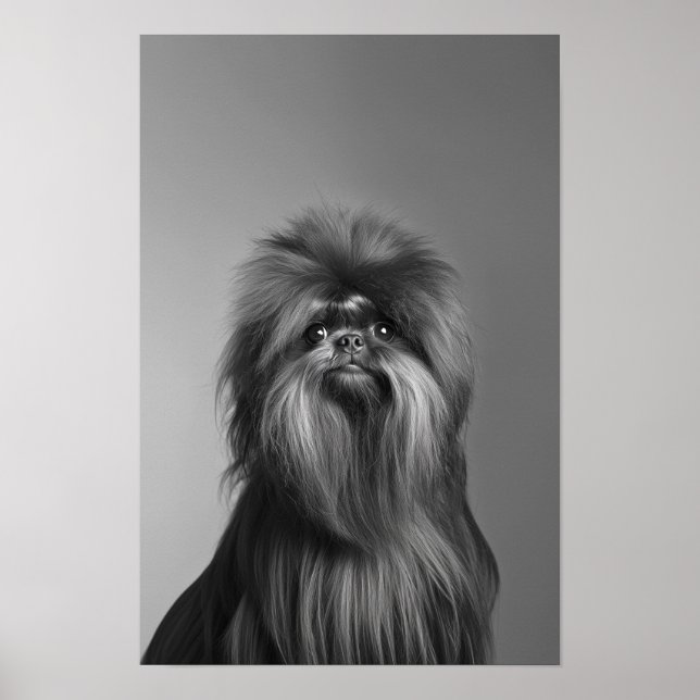 Pet Groomon Boutique Affenpinscher Portrait Poster (Vorne)