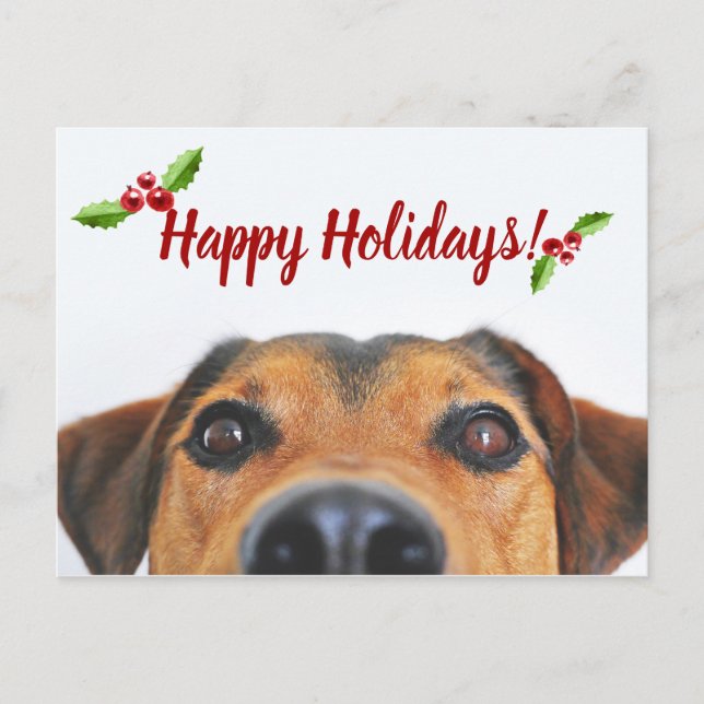 Pet Holiday Foto Feiertagspostkarte (Vorderseite)