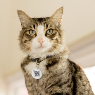 Pet-ID-Tag   Wenn QR-Code-Prüfung verloren geht Haustiermarke