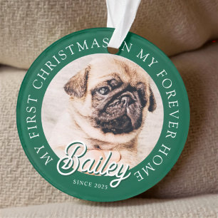 Pet ist mein erstes Weihnachten in ewig Zuhause Mo Ornament