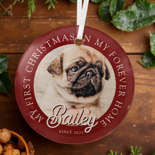 Pet ist mein erstes Weihnachten in ewig Zuhause Mo Ornament Aus Glas