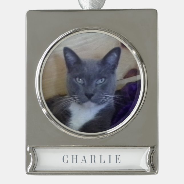 PET LIEBE Banner Ornament / Silber (Vorderseite)