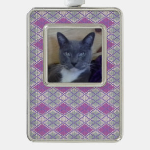 PET LIEBE Gerahmt Vert Ornament / Lilac Raute Stri Rahmen-Ornament Silber