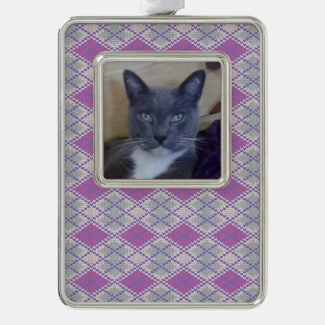PET LIEBE Gerahmt Vert Ornament / Lilac Raute Stri Rahmen-Ornament Silber (Vorderseite)