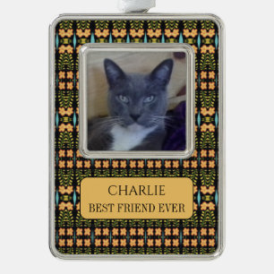 PET-LIEBE Gerahmt Vert Ornament + Text/Hintergrund Rahmen-Ornament Silber