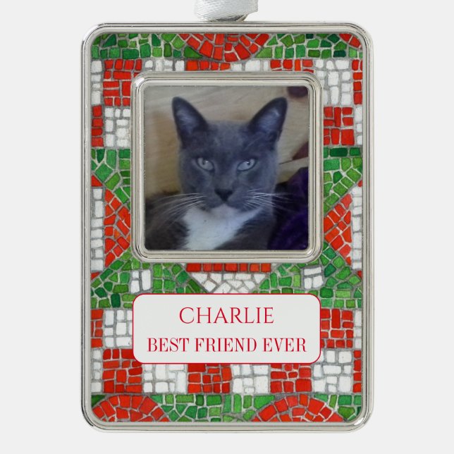 PET LIEBE Gerahmt Vert Ornament + Text / Mosaik Rahmen-Ornament Silber (Vorderseite)