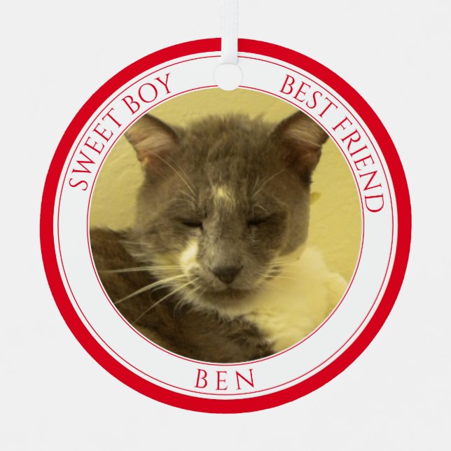 PET-LIEBE - Metallzirkel - Ornament + Text / Rot Aus Metall (Vorderseite)