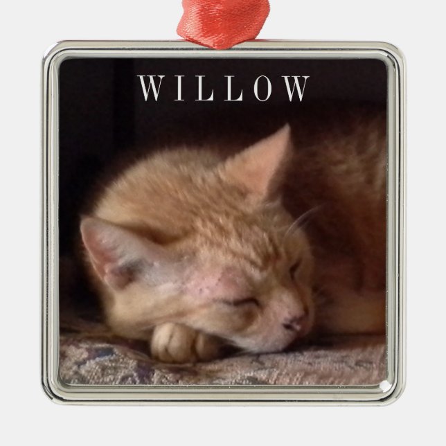 PET LIEBE Premium Square Ornament Aus Metall (Vorne)