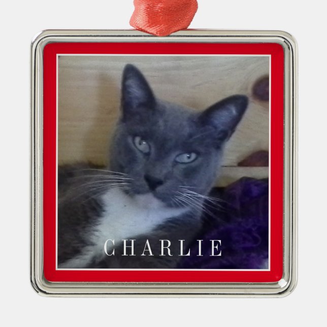 PET LIEBE Premium Square Ornament - Rot (Vorne)