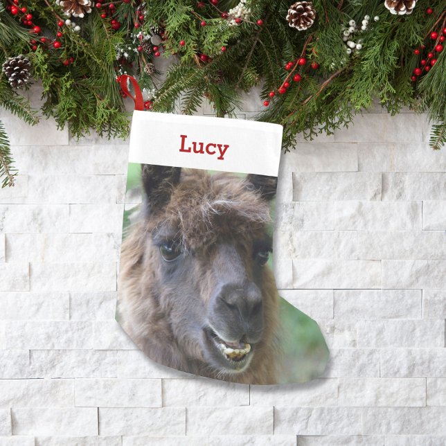 Pet Llama Lover Eigentümer Foto & Name Personalisi Kleiner Weihnachtsstrumpf (Von Creator hochgeladen)