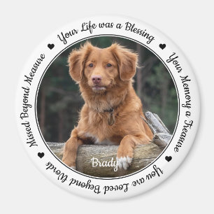 Pet Loss Beileid Keepake Pet Memorial Magnet