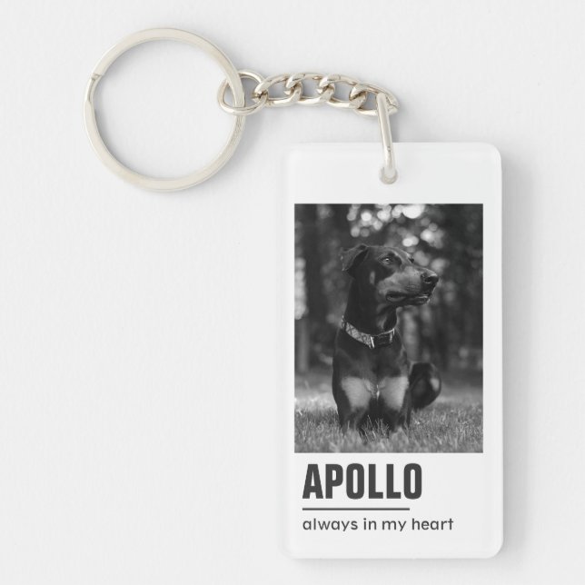 Pet Loss Beileid Memorial Keepake Symbol Schlüsselanhänger (Vorderseite)