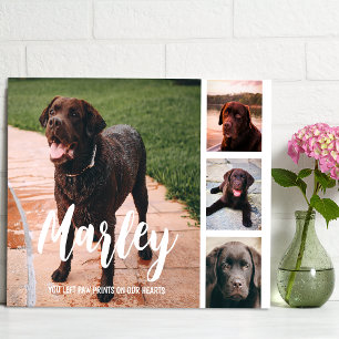 Pet Loss individuelle FotoCollage Fotoplatte