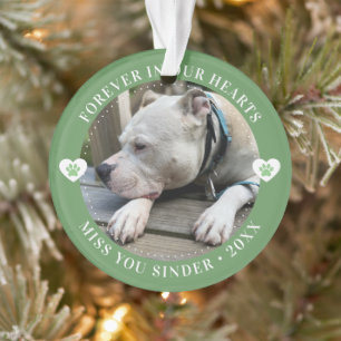 Pet Loss Memorial Keepake Foto Modernes Ornament