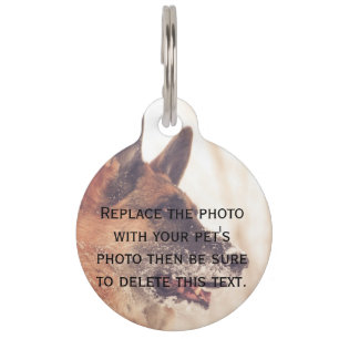 Pet Loss Memorial Pet Tags mit Ihrem Foto Tiermarke