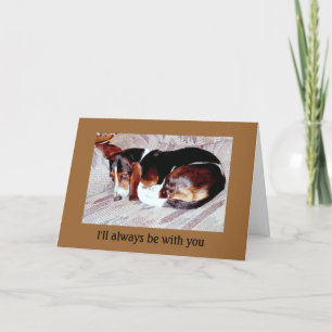 Pet Loss Sympathy: Loss of Dog Greeting Cards Karte