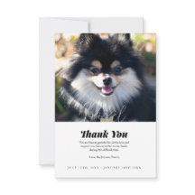 Pet Loss Vielen Dank Sympathie Karte