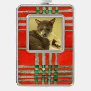 PET LOVE Gerahmter vertikaler Schmuck / Roter Scot Rahmen-Ornament Silber