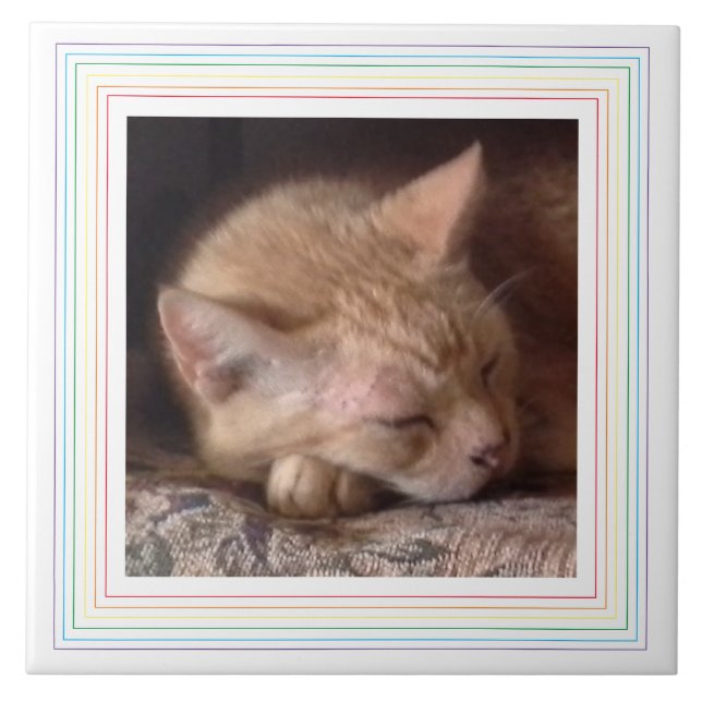PET LOVE Keramikfliese / Regenbogen (Vorderseite)