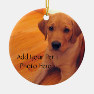 Pet Lover Animal Foto Ornament