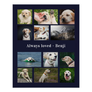 Pet Lover Keepake Poster