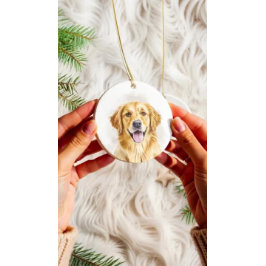 Pet Lovers Christmas Ornament | Dog & Cat