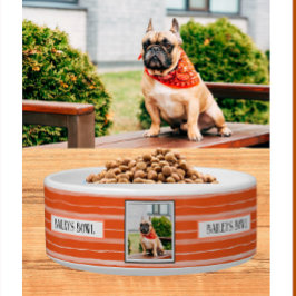 Pet Lovers Orange Stripes Foto Name Napf