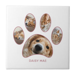Pet Lovers Rose Gold Paw Print Name Collage Fliese