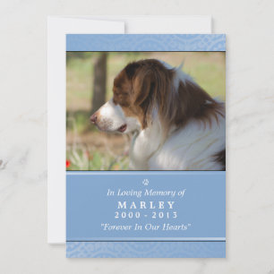 Pet Memorial 12x18 Light Blue God sah Sie Gedicht Ankündigung