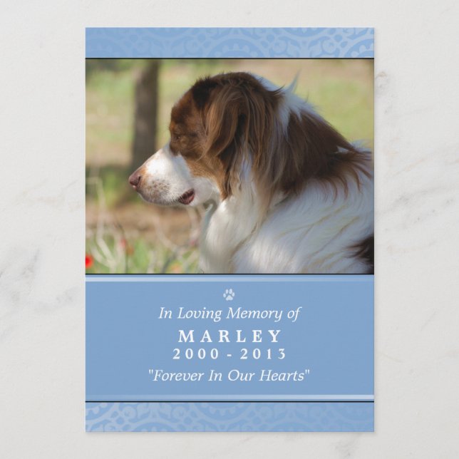 Pet Memorial 12x18 Light Blue Goods Garden Gedicht Programm (Vorderseite)
