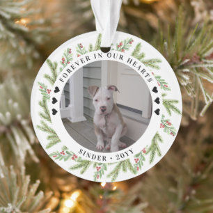 Pet Memorial Beileid 2 Fotos Grünflächen Ornament