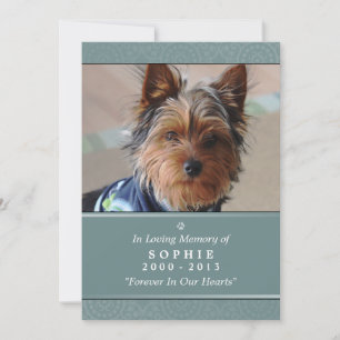 Pet Memorial Card 12x18 Aquamariner Gott sah Sie G Ankündigung