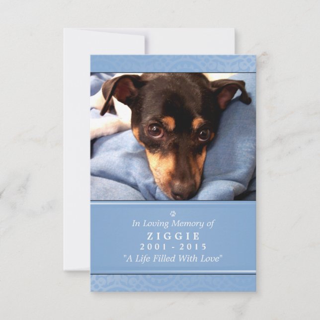 Pet Memorial Card 3.5 x 5 Blauer Gott sah Sie Gedi Einladung (Vorderseite)