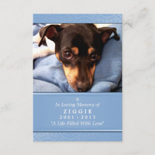 Pet Memorial Card 3.5 x 5 Blauer Gott sah Sie Gedi Einladung