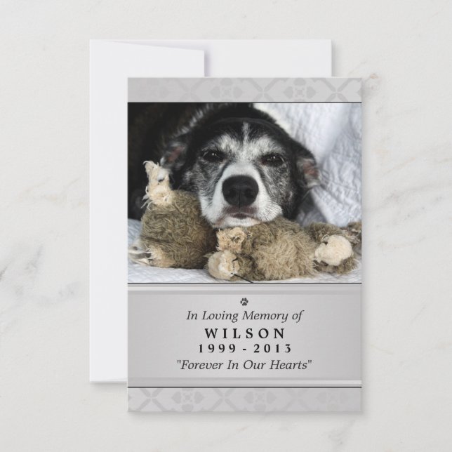 Pet Memorial Card 3.5" x 5" - Grau Modernes Foto Einladung (Vorderseite)