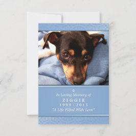 Pet Memorial Card 3.5 x 5 Light Blue Pet Gebet Ankündigung