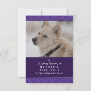 Pet Memorial Card 3.5" x 5" - Lila Foto Modernes Ankündigung