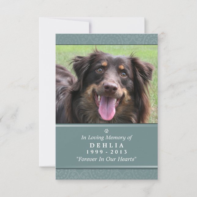 Pet Memorial Card 3.5x5 Aquamarin - Gottesgartenge Ankündigung (Vorderseite)