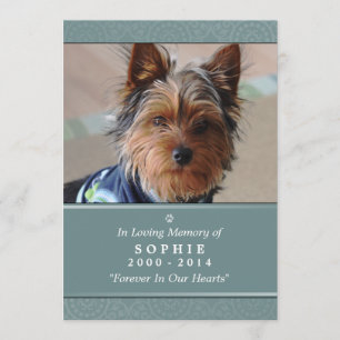 Pet Memorial Card 5"x7" Aquamarine Rainbow Bridge  Programm