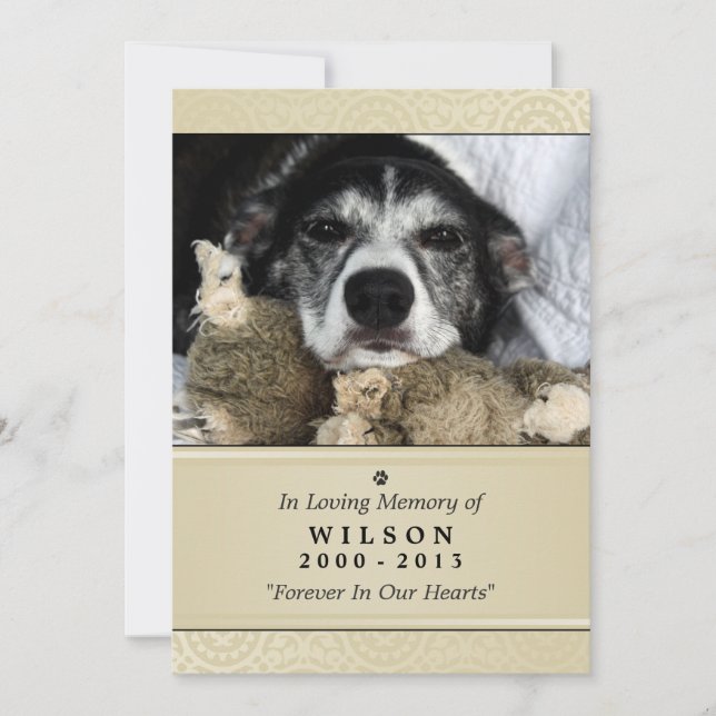 Pet Memorial Card 5"x7" Creme Modernes Foto Einladung (Vorderseite)