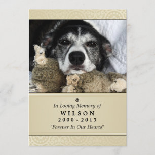 Pet Memorial Card 5"x7" Creme Modernes Foto Einladung