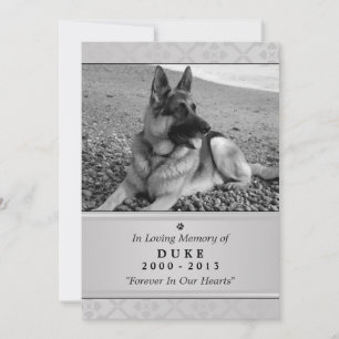 Pet Memorial Card 5"x7" Grau Modernes Foto Ankündigung