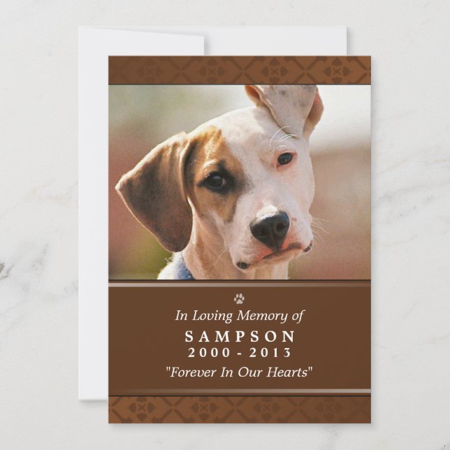 Pet Memorial Card 5"x7" Mittleres braunes Foto Einladung (Vorderseite)