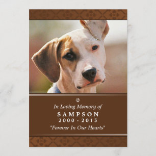 Pet Memorial Card 5"x7" Mittleres braunes Foto Einladung
