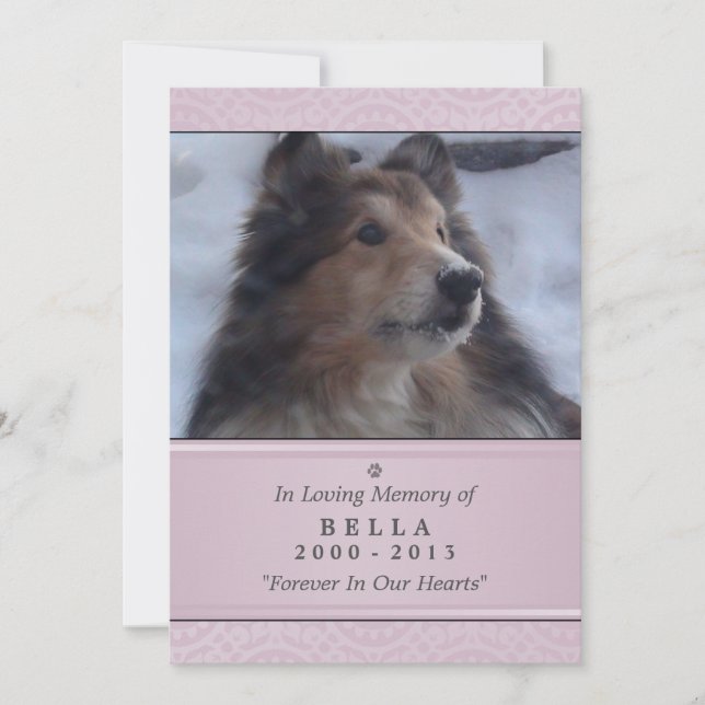 Pet Memorial Card 5"x7" Pink Modern - Weibliche Ha Ankündigung (Vorderseite)