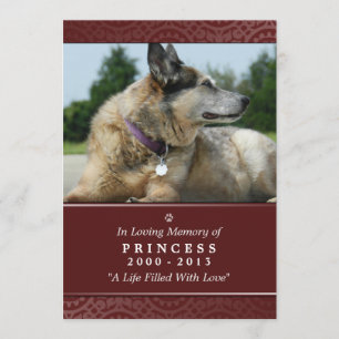 Pet Memorial Card 5"x7" Rainbow Bridge (Female) Programm